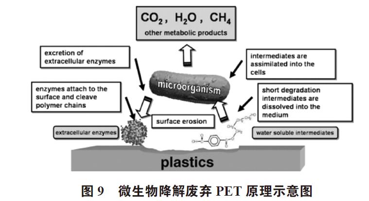 国产三级无码在线观看 废弃PET塑料包装瓶的处理及再生资源化技术研究进展